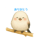 ふわふわシマエナガのまいにち。（個別スタンプ：4）
