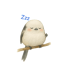 ふわふわシマエナガのまいにち。（個別スタンプ：11）