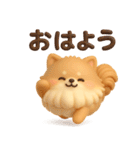 3Dもこもこポメラニアン◎あいさつ（個別スタンプ：1）