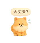 3Dもこもこポメラニアン◎あいさつ（個別スタンプ：12）