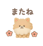 3Dもこもこポメラニアン◎あいさつ（個別スタンプ：39）