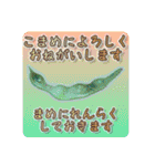 写真で何でもありなスタンプ（個別スタンプ：6）