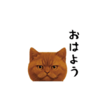 ネッコさんのおスタンプ2（個別スタンプ：16）
