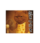 ネッコさんのおスタンプ2（個別スタンプ：19）