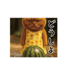ネッコさんのおスタンプ2（個別スタンプ：20）