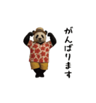 THEパンダ（個別スタンプ：2）