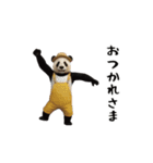 THEパンダ（個別スタンプ：5）
