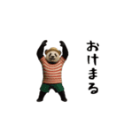 THEパンダ（個別スタンプ：8）