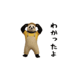 THEパンダ（個別スタンプ：10）