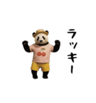 THEパンダ（個別スタンプ：14）