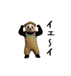 THEパンダ（個別スタンプ：17）