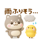 夏にかわいい♡豆柴日和（個別スタンプ：10）