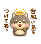 夏にかわいい♡豆柴日和（個別スタンプ：11）