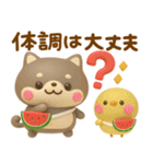 夏にかわいい♡豆柴日和（個別スタンプ：12）