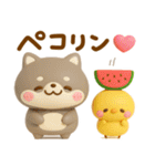 夏にかわいい♡豆柴日和（個別スタンプ：24）