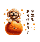 トイプードルの年末年始スタンプ｜改訂版（個別スタンプ：2）