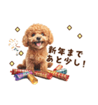 トイプードルの年末年始スタンプ｜改訂版（個別スタンプ：10）