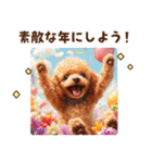 トイプードルの年末年始スタンプ｜改訂版（個別スタンプ：21）