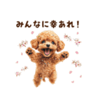 トイプードルの年末年始スタンプ｜改訂版（個別スタンプ：24）