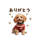 トイプードルの年末年始スタンプ｜改訂版（個別スタンプ：30）