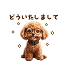トイプードルの年末年始スタンプ｜改訂版（個別スタンプ：31）