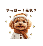 トイプードルの年末年始スタンプ｜改訂版（個別スタンプ：32）