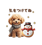 トイプードルの年末年始スタンプ｜改訂版（個別スタンプ：33）