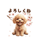 トイプードルの年末年始スタンプ｜改訂版（個別スタンプ：38）