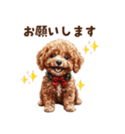 トイプードルの年末年始スタンプ｜改訂版（個別スタンプ：39）