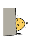 ピヨビン（個別スタンプ：1）