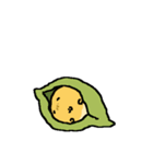 ピヨビン（個別スタンプ：11）