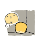 ピヨビン（個別スタンプ：14）