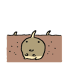 ピヨビン（個別スタンプ：17）