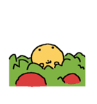 ピヨビン（個別スタンプ：25）