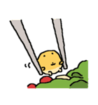 ピヨビン（個別スタンプ：28）