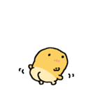 ピヨビン（個別スタンプ：31）
