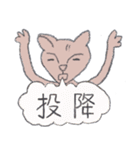 Guli cat II（個別スタンプ：39）