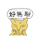 Guli cat II（個別スタンプ：40）