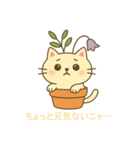 植木鉢ねこ 〜ゆるゆる成長日記〜（個別スタンプ：1）