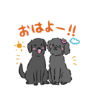 タロ＆ハナ（個別スタンプ：1）