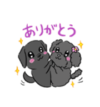 タロ＆ハナ（個別スタンプ：9）