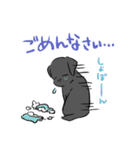 タロ＆ハナ（個別スタンプ：12）