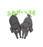 タロ＆ハナ（個別スタンプ：13）