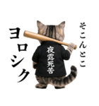 リアル猫ニャンキー（個別スタンプ：4）
