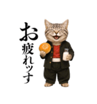 リアル猫ニャンキー（個別スタンプ：6）