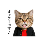 リアル猫ニャンキー（個別スタンプ：8）