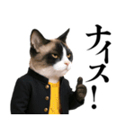 リアル猫ニャンキー（個別スタンプ：11）