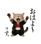 リアル猫ニャンキー（個別スタンプ：12）