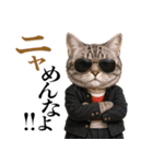 リアル猫ニャンキー（個別スタンプ：13）