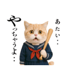 リアル猫ニャンキー（個別スタンプ：15）